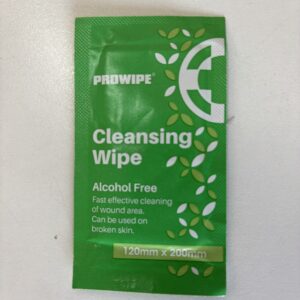 Antiseptic Wet Wipes (2-pack)
