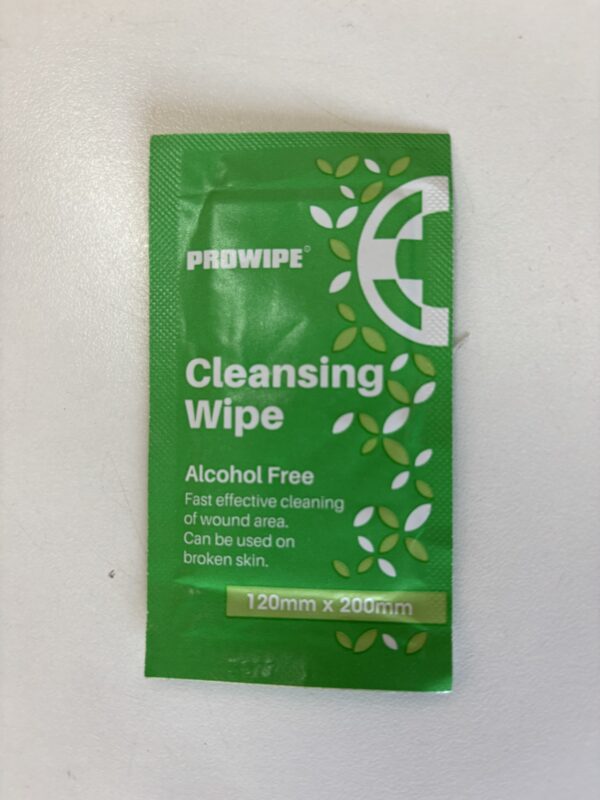 Antiseptic Wet Wipes (2-pack)