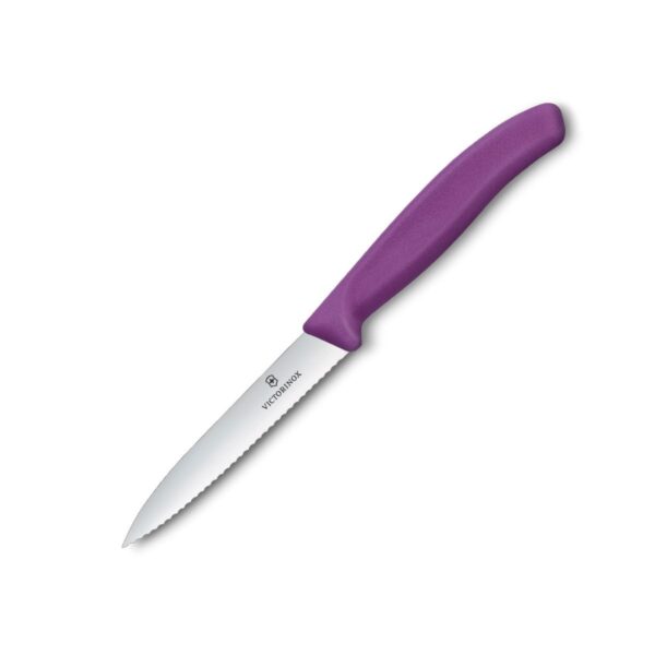 Swiss Classic Paring Knife - Purple (Serrated-10cm) - Victorinox